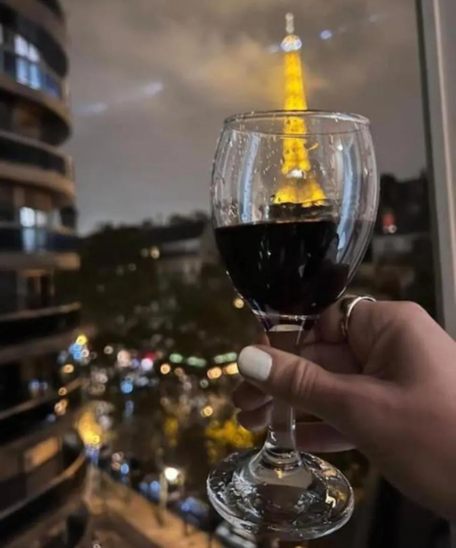 Vue Imprenable Sur La Tour Eiffel Apartment Paris